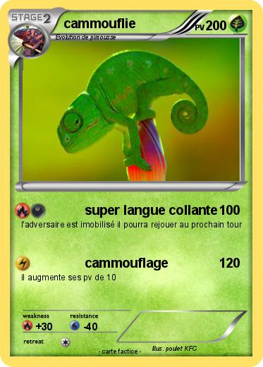 Pokemon cammouflie