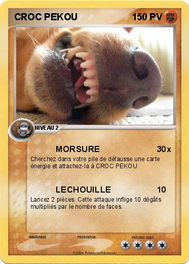 Pokemon CROC PEKOU
