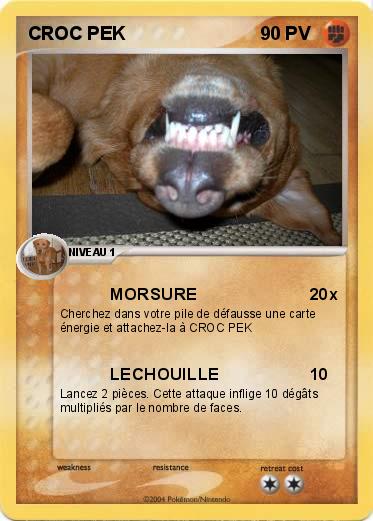 Pokemon CROC PEK