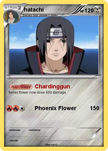 Pokemon hatachi