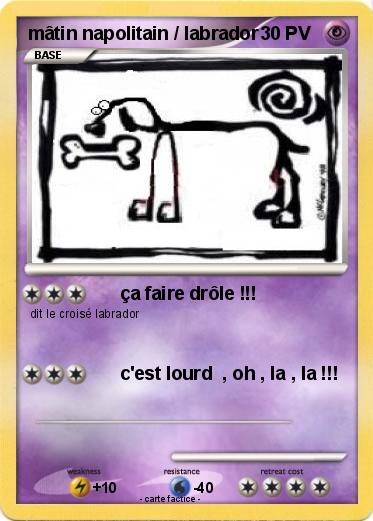 Pokemon mâtin napolitain / labrador