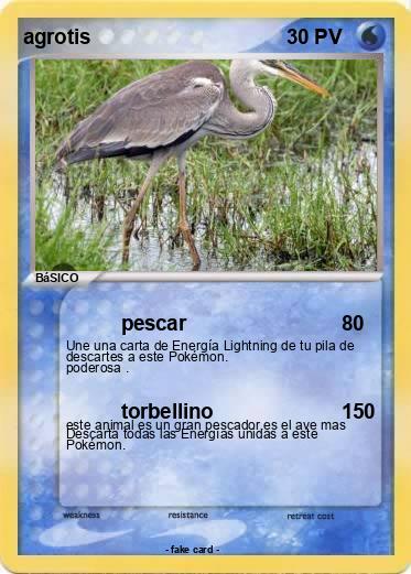 Pokemon agrotis