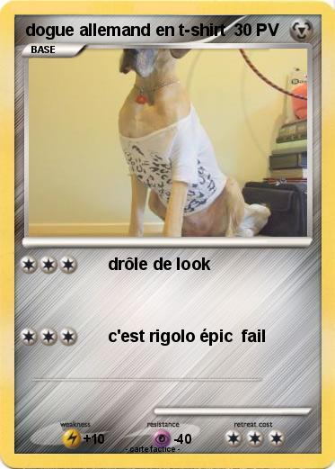Pokemon dogue allemand en t-shirt