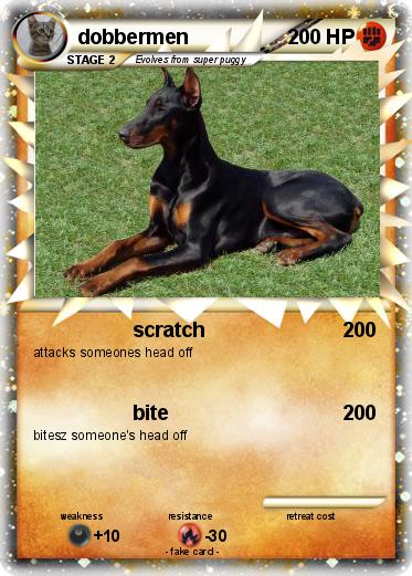 Pokemon dobbermen
