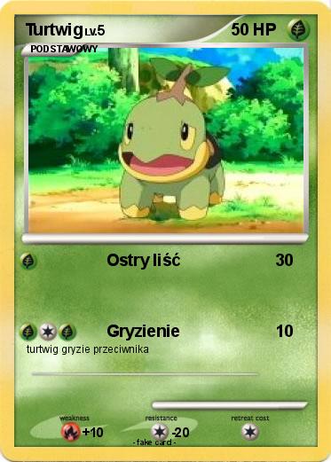 Pokemon Turtwig