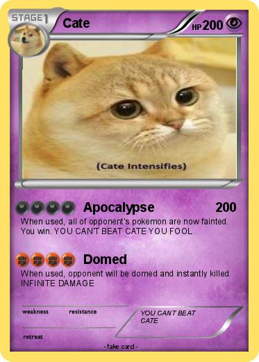 Pokemon Cate
