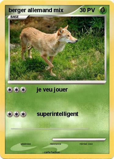 Pokemon berger allemand mix