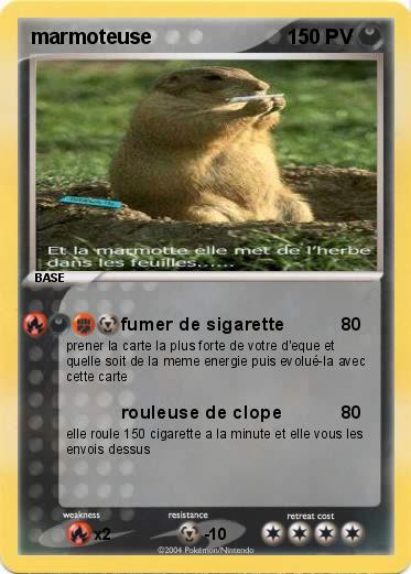 Pokemon marmoteuse