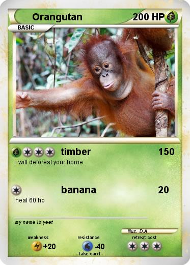 Pokemon Orangutan