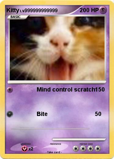 Pokemon Kitty