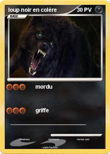 Pokemon loup noir en colère