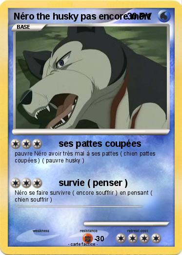 Pokemon Néro the husky pas encore mort