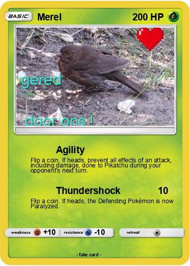 Pokemon Merel