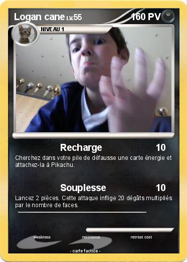 Pokemon Logan cane