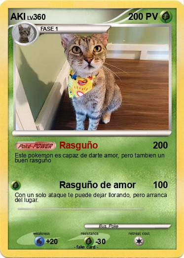 Pokemon AKI