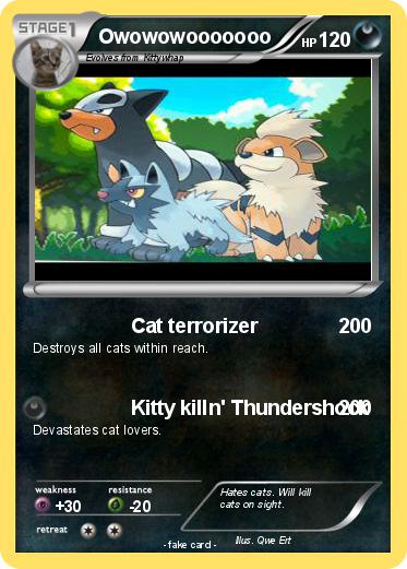 Pokemon Owowowooooooo