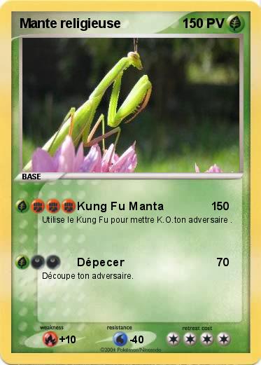 Pokemon Mante religieuse