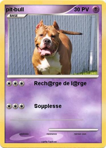 Pokemon pit-bull