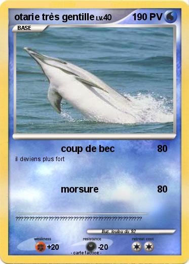 Pokemon otarie très gentille