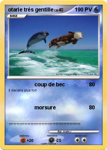 Pokemon otarie très gentille