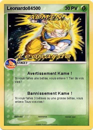 Pokemon Leonardo84500