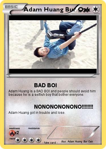 Pokemon Adam Huang Bur Oak