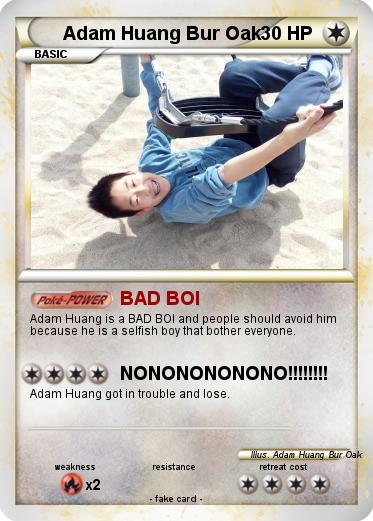 Pokemon Adam Huang Bur Oak