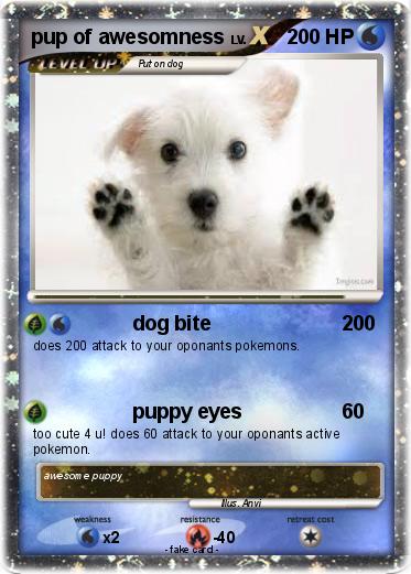 Pokemon pup of awesomness