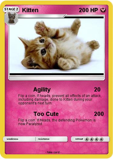 Pokemon Kitten