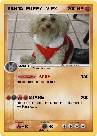 Pokemon SANTA  PUPPY LV EX
