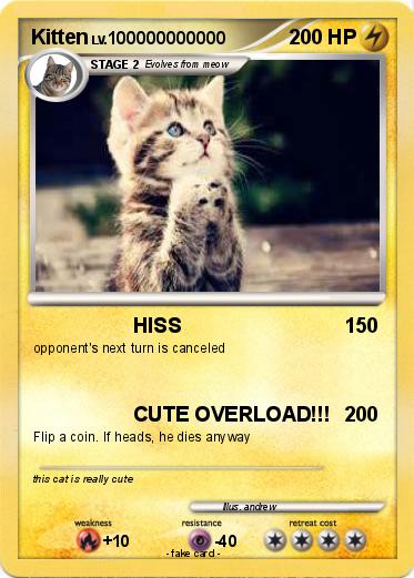 Pokemon Kitten