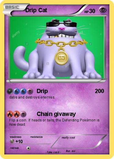 Pokemon Drip Cat