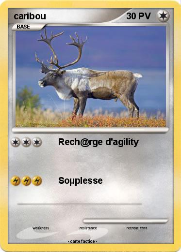 Pokemon caribou