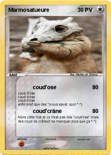 Pokemon Marmosatueure
