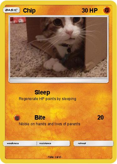 Pokemon Chip