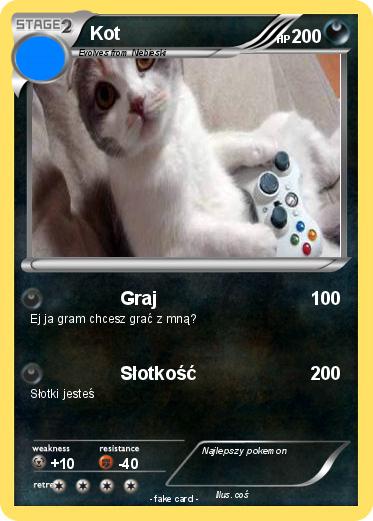 Pokemon Kot