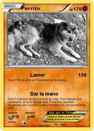Pokemon Perrito
