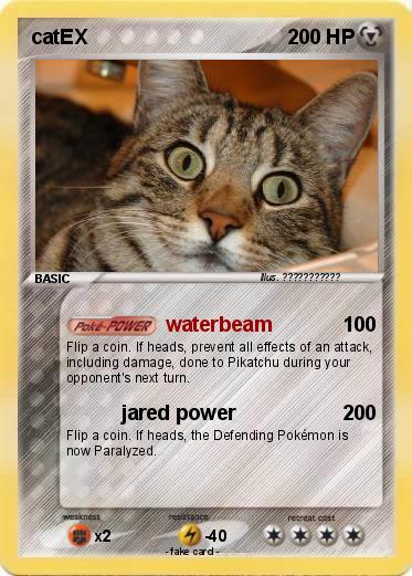Pokemon catEX