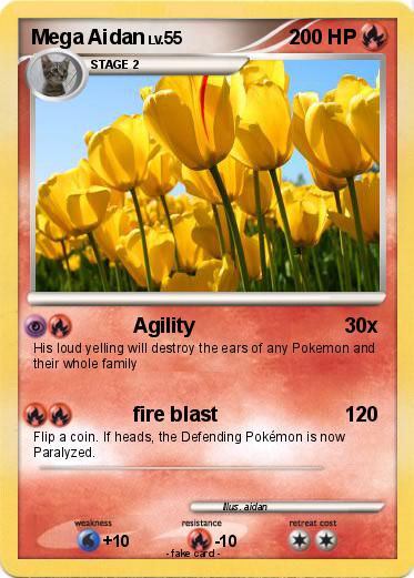 Pokemon Mega Aidan