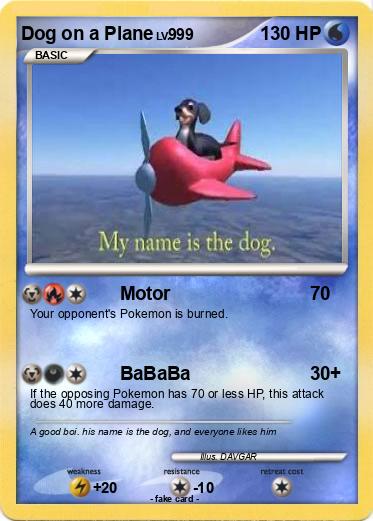 Pokemon Dog on a Plane