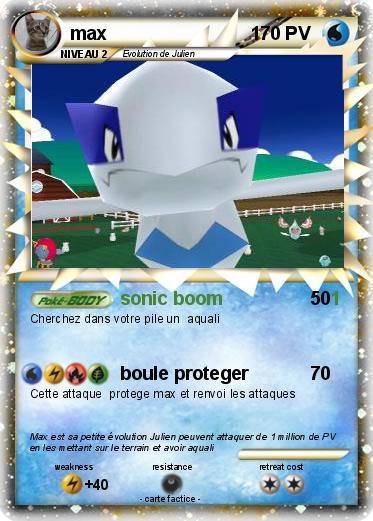 Pokemon max                            1