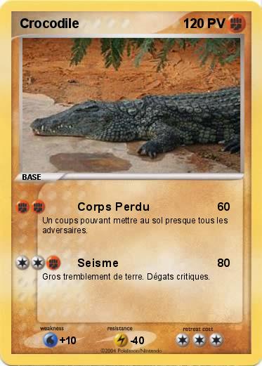 Pokemon Crocodile