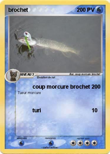 Pokemon brochet