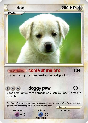 Pokemon dog