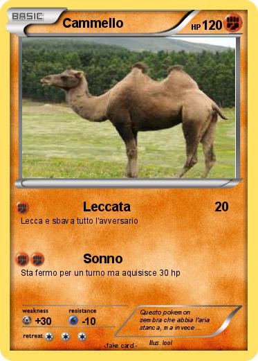 Pokemon Cammello