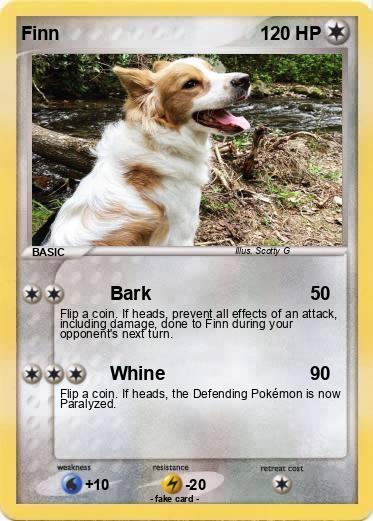 Pokemon Finn