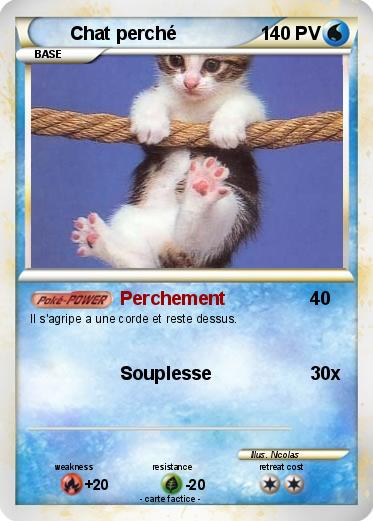 Pokemon Chat perché