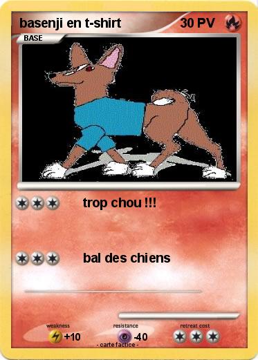 Pokemon basenji en t-shirt