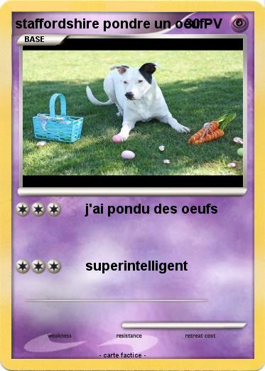 Pokemon staffordshire pondre un oeuf