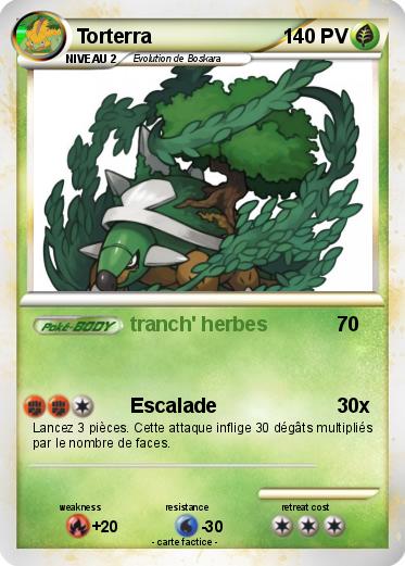Pokemon Torterra